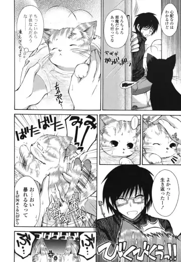 [Cesar] Otome Kaikinbi Fhentai - Page 11