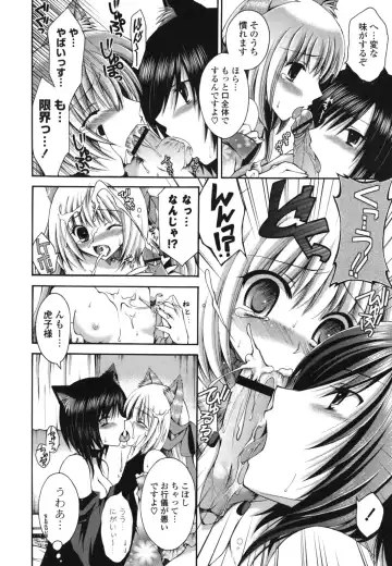 [Cesar] Otome Kaikinbi Fhentai - Page 19