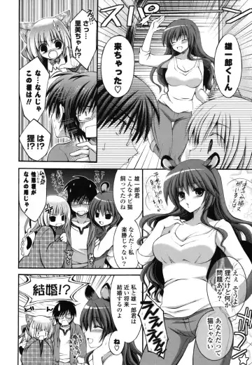 [Cesar] Otome Kaikinbi Fhentai - Page 49