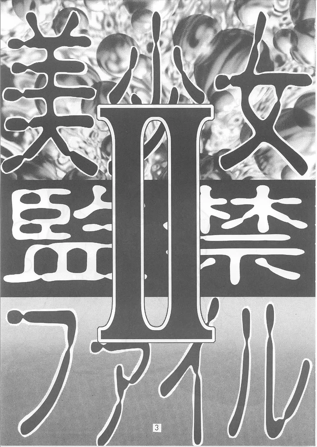 Bishoujo Kankin File II Fhentai - Page 2