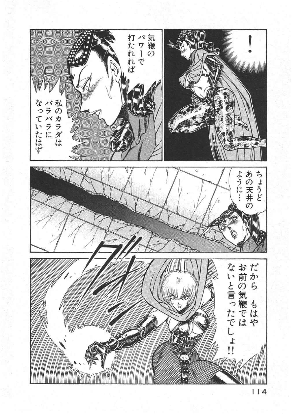 [Inui Haruka] Joousama Wars Fhentai - Page 117