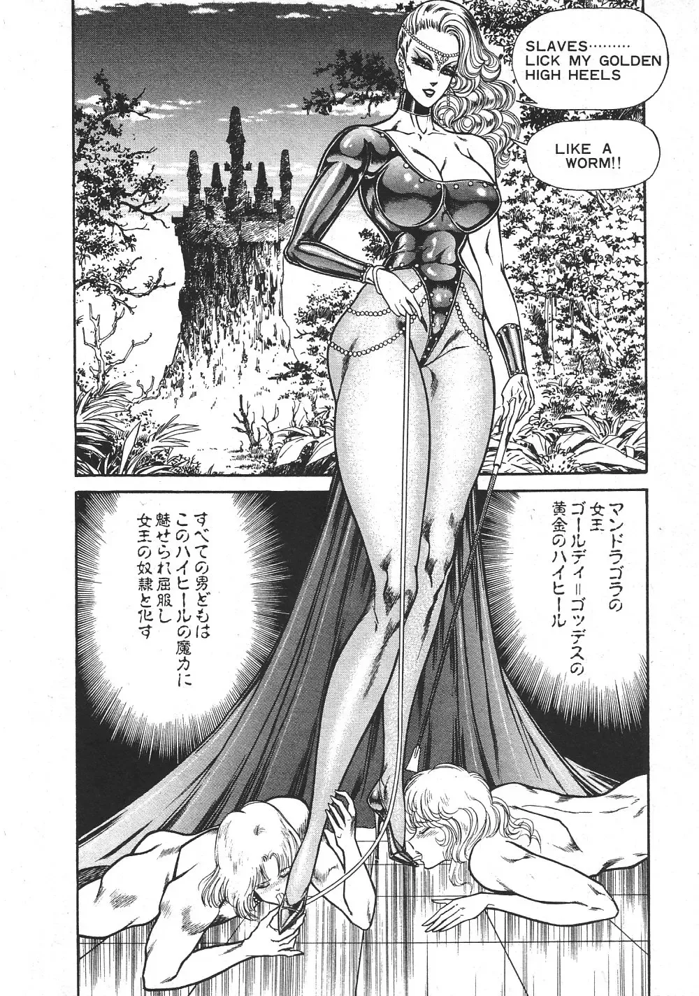 [Inui Haruka] Joousama Wars Fhentai - Page 43