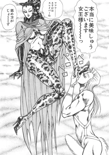 [Inui Haruka] Joousama Wars Fhentai - Page 102