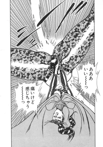 [Inui Haruka] Joousama Wars Fhentai - Page 119