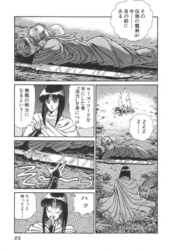 [Inui Haruka] Joousama Wars Fhentai - Page 28