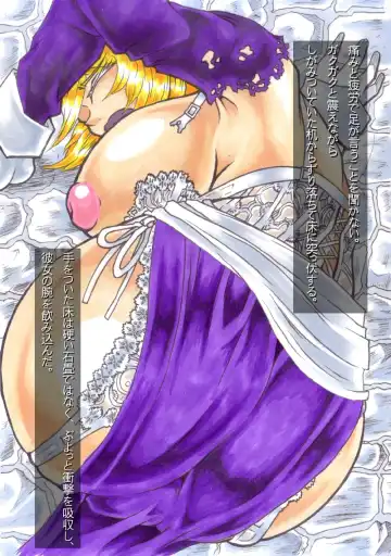 [Hiratami] Kanraku ~Awairo no Seijo~ Fhentai - Page 11