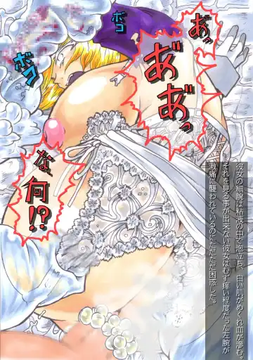 [Hiratami] Kanraku ~Awairo no Seijo~ Fhentai - Page 20