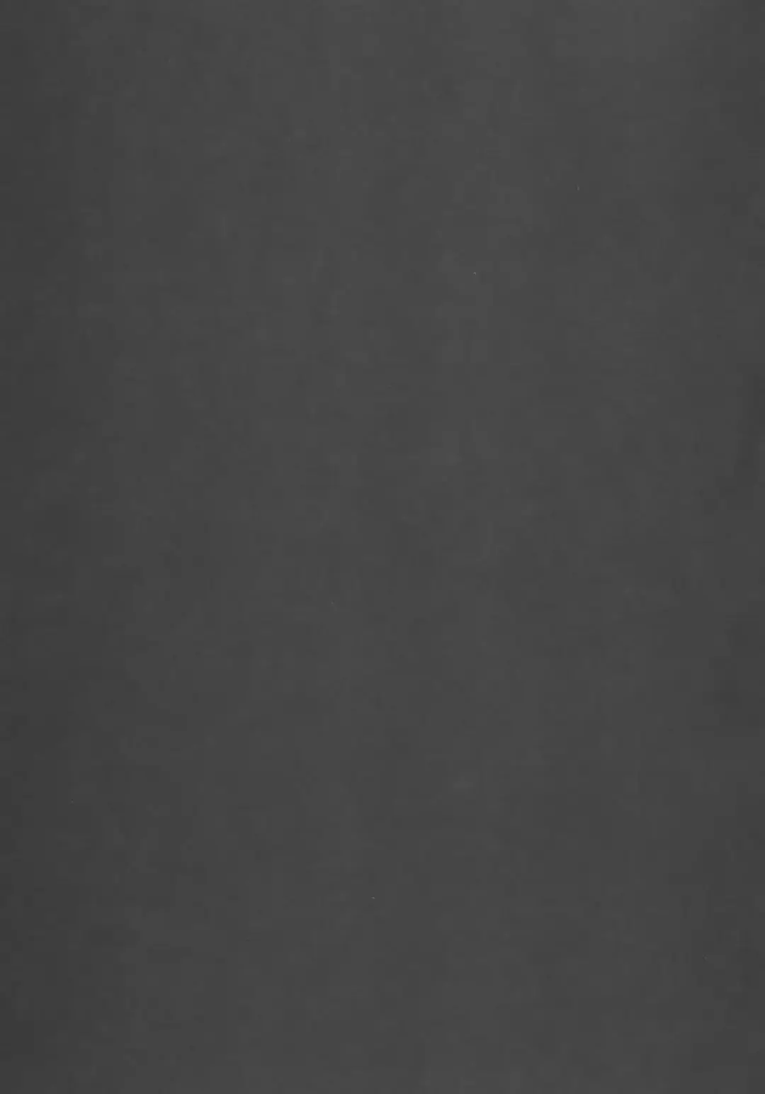 [Izumi - Izumi Kazuya - Reizei] 850 - Color Classic Situation Note Extention Fhentai - Page 14