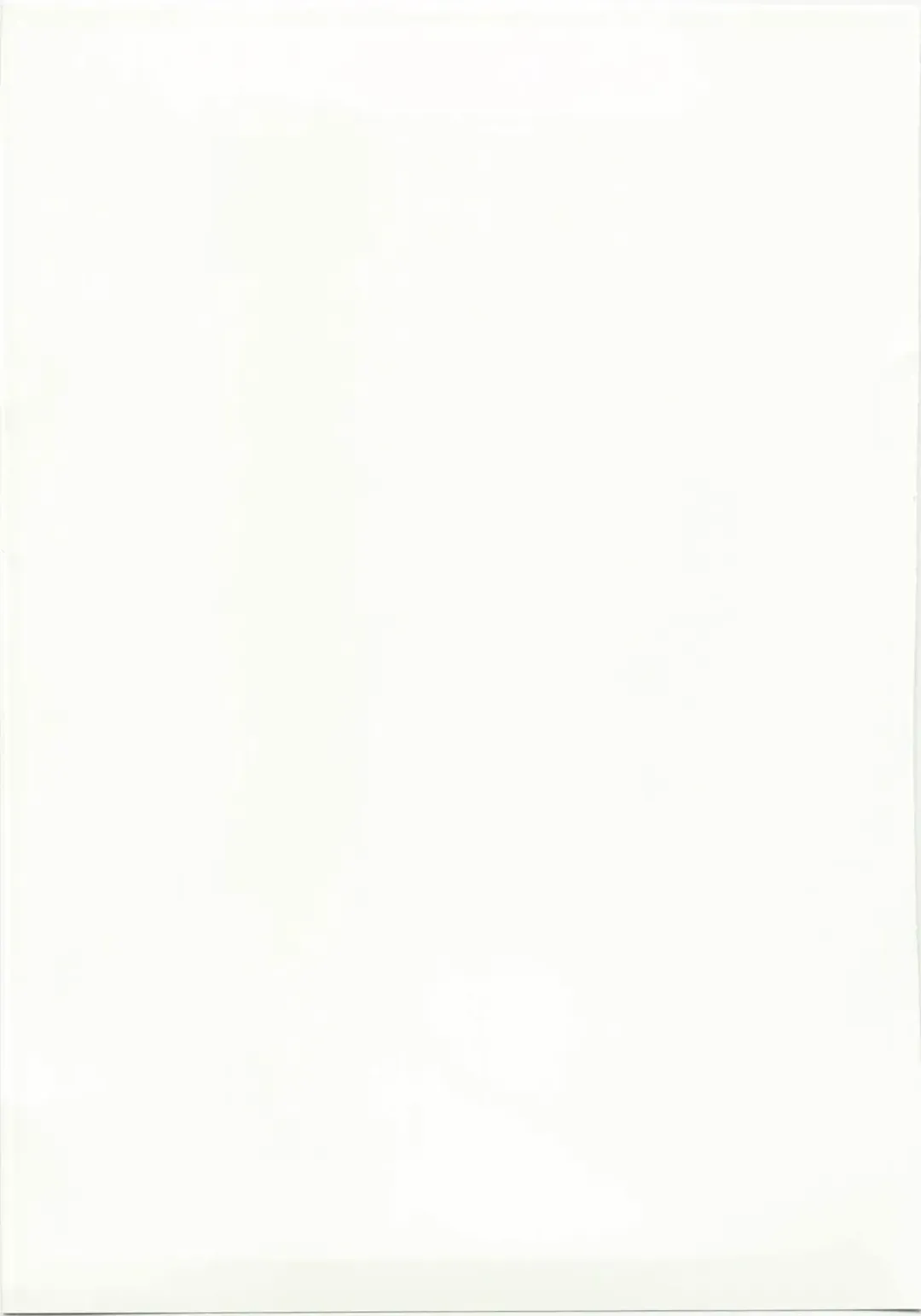 [Shinonome Ryu] Marisa to Kinoko to Kichiku na Miko Fhentai - Page 31