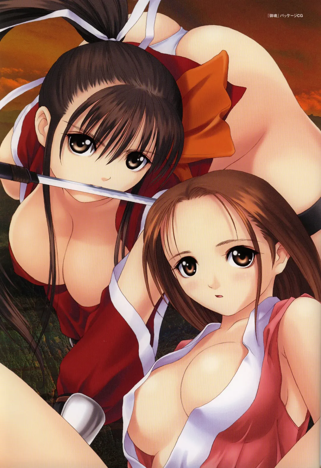 [Tony Taka] Tony WORKS Mitama ~Shinobi~ / ARCANA ~Hikari to Yami no Ekstasis~ Nisakuhin Gengashuu Fhentai - Page 11