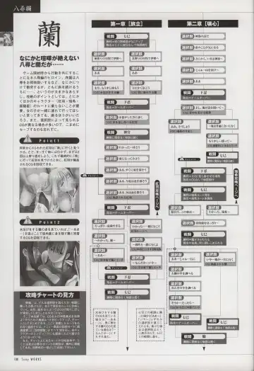 [Tony Taka] Tony WORKS Mitama ~Shinobi~ / ARCANA ~Hikari to Yami no Ekstasis~ Nisakuhin Gengashuu Fhentai - Page 113