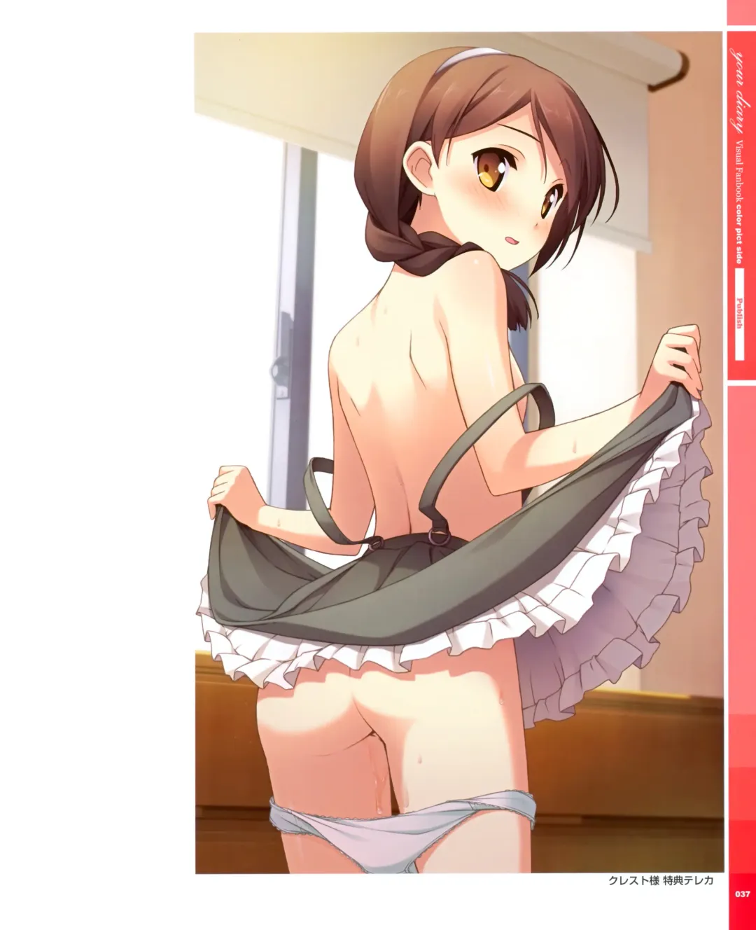 [Kantoku] your diary Visual Fanbook Fhentai - Page 13