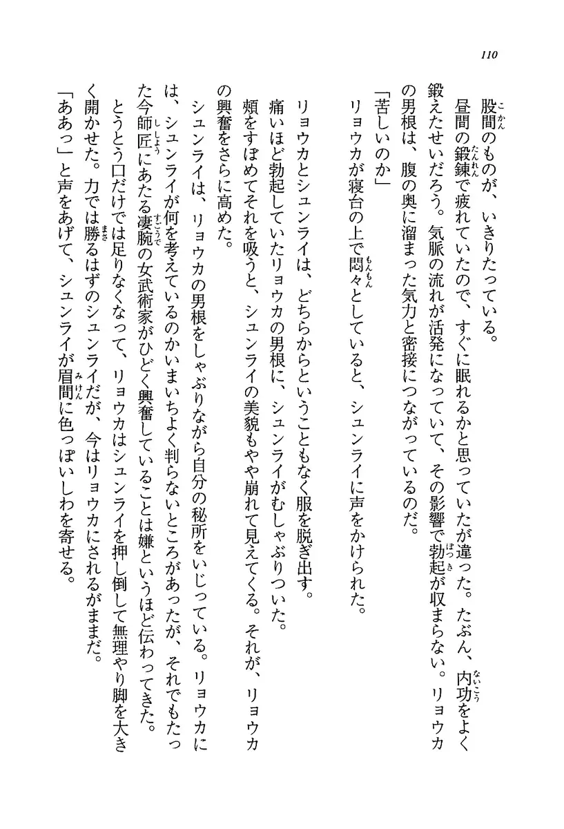 [Rebis] Burin Crossroad Fhentai - Page 108