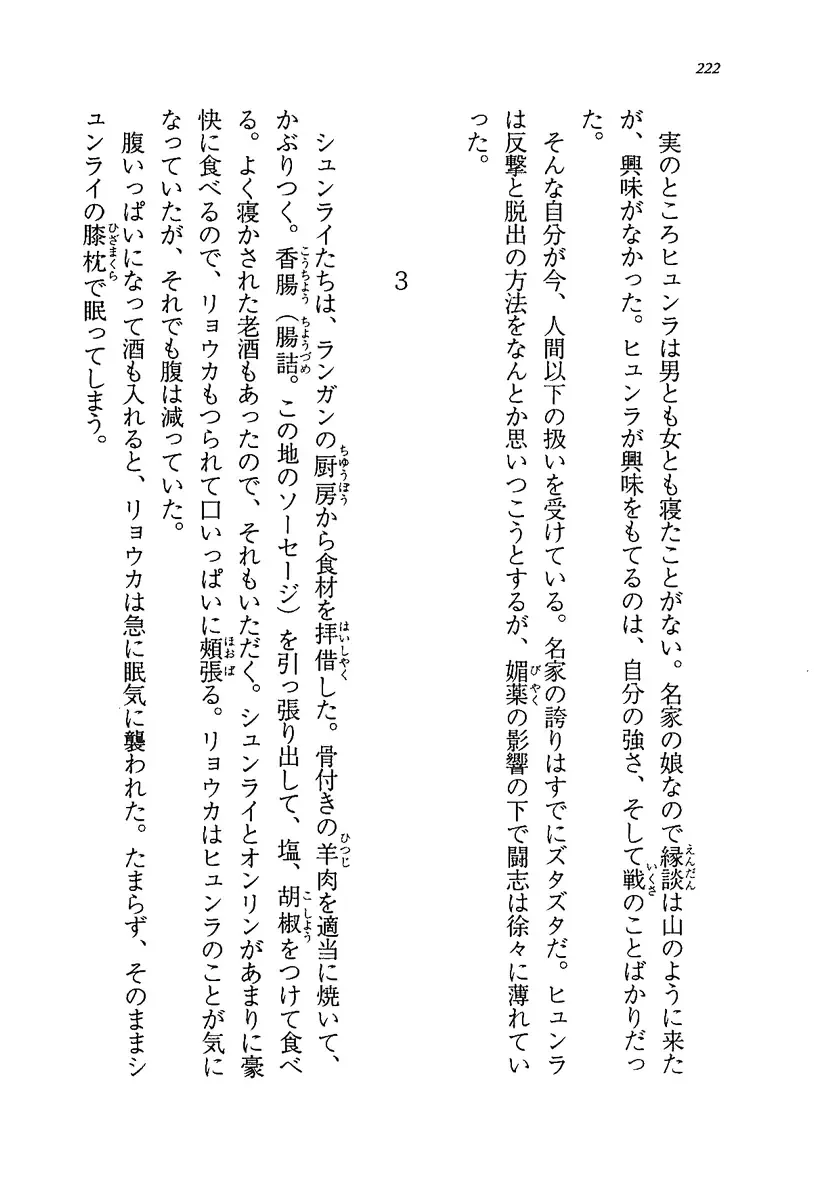 [Rebis] Burin Crossroad Fhentai - Page 220