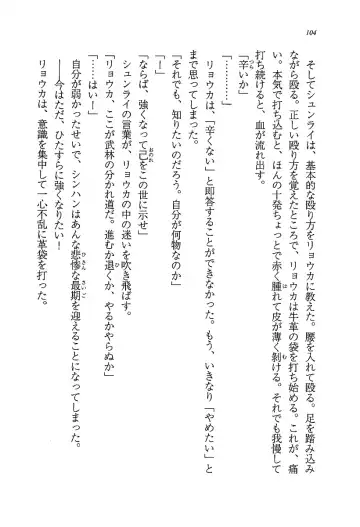 [Rebis] Burin Crossroad Fhentai - Page 102