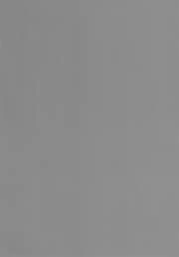 [Ryokutya] Elf Bokujou - Sakunyuu Hen Fhentai - Page 21