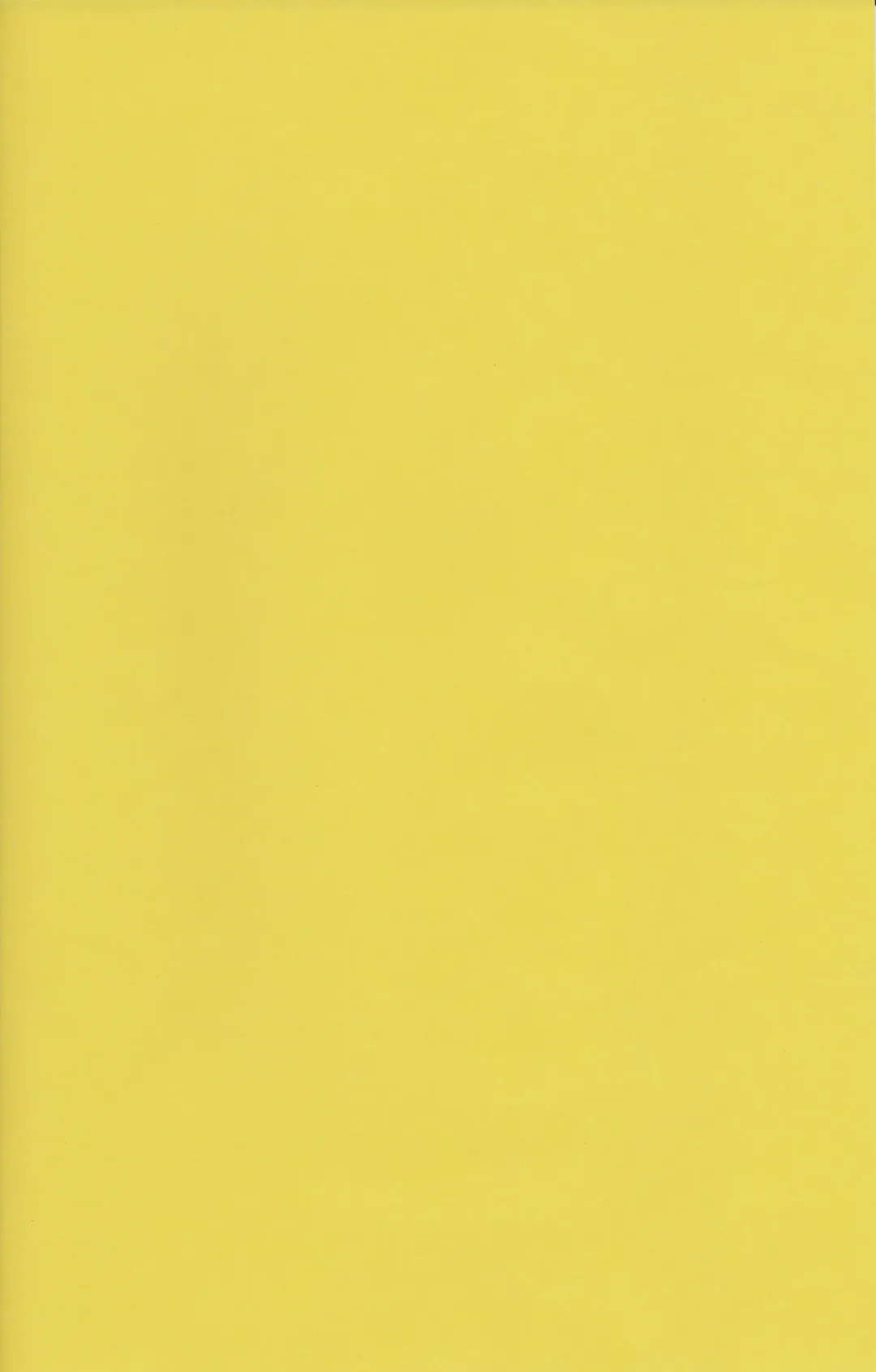 [Yukimi] Chie Tomoe Fhentai - Page 2