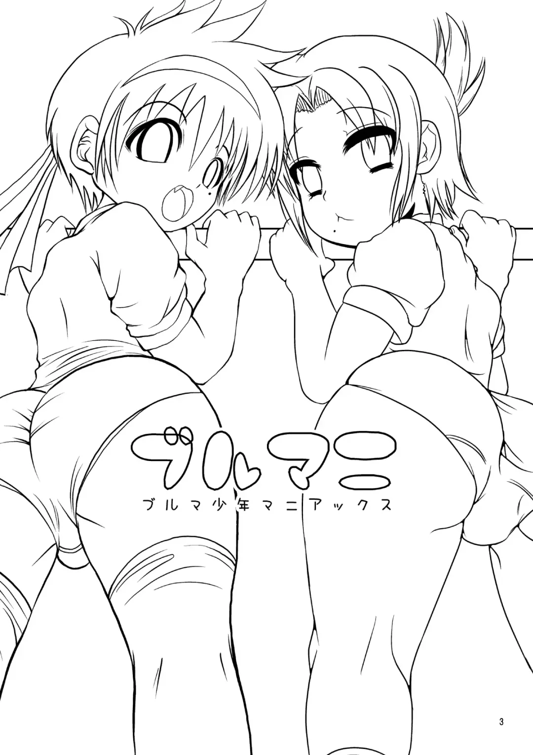 [Mr.sugar] Burumani Fhentai - Page 2