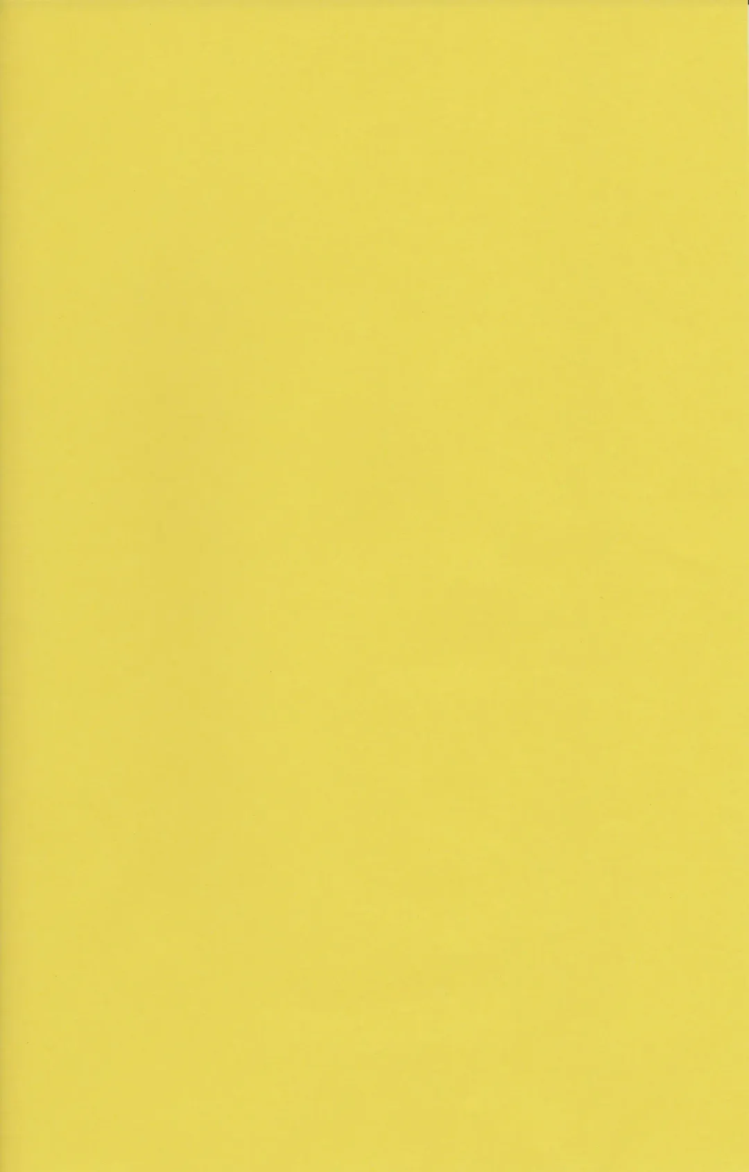 [Yukimi] Chie Tomoe Fhentai - Page 2