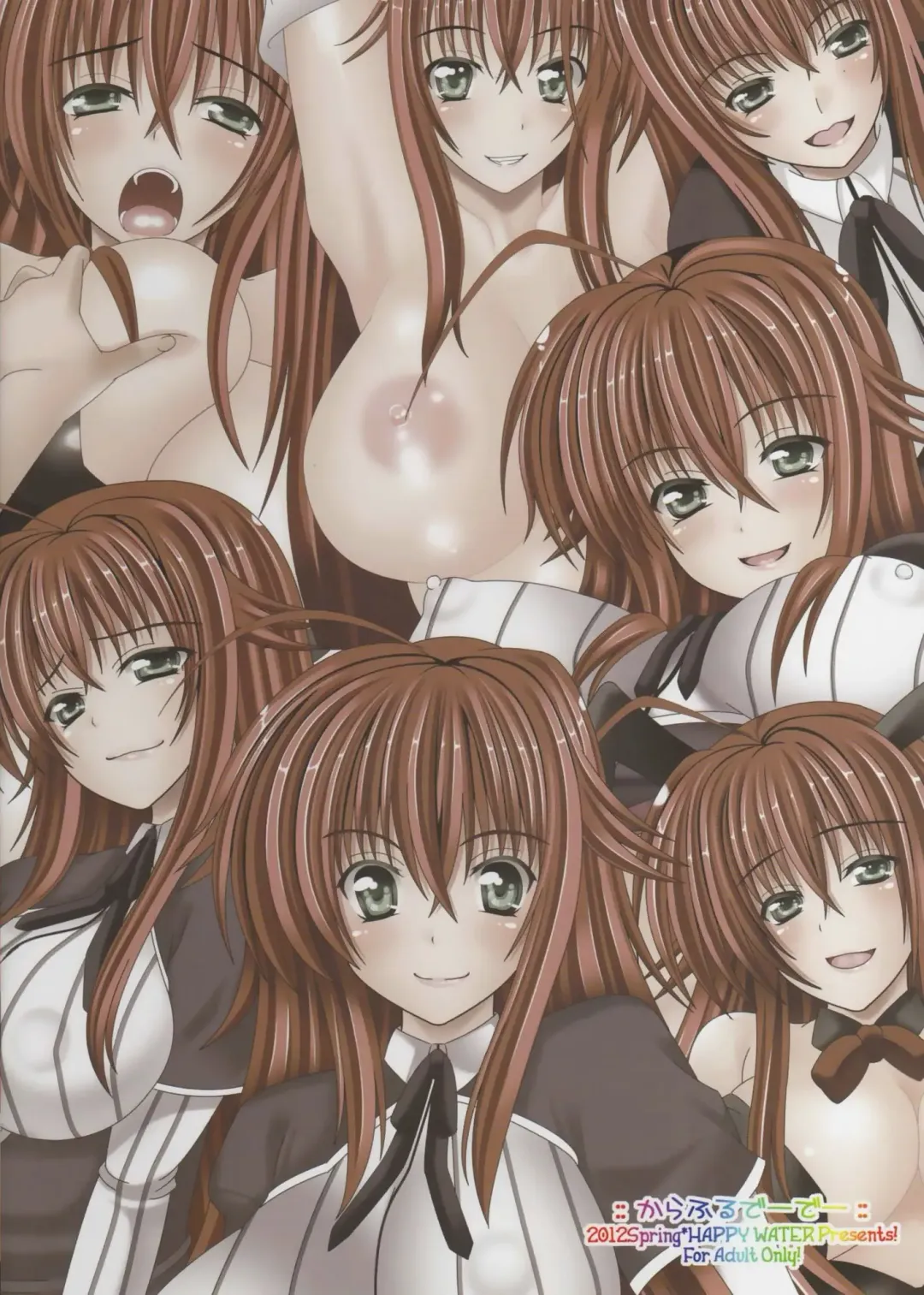 [Kizaki Yuuri] Colorful DxD Fhentai - Page 14