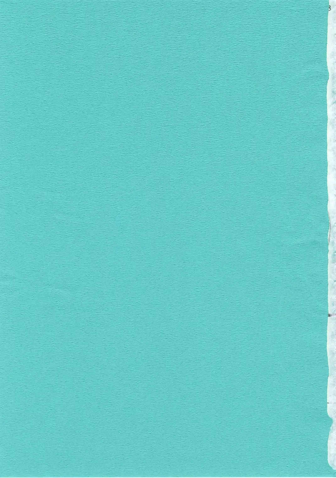 [Chomoyama] Dog Days, Cat Days Fhentai - Page 2