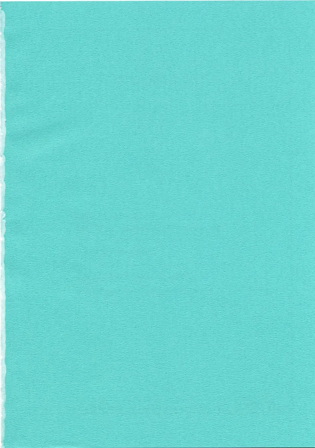 [Chomoyama] Dog Days, Cat Days Fhentai - Page 27