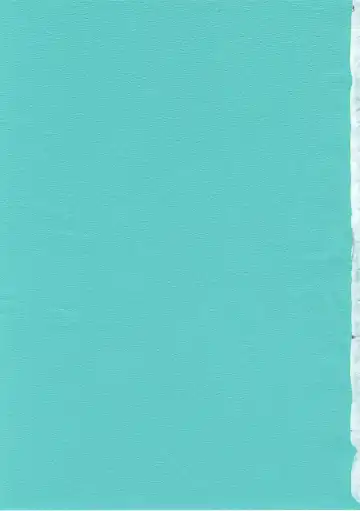 [Chomoyama] Dog Days, Cat Days Fhentai - Page 2