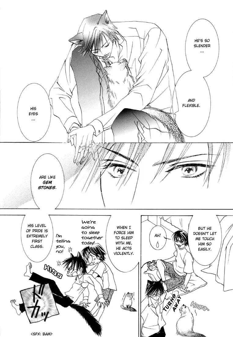 [Kamo Nabako] Love Cat Fhentai - Page 16