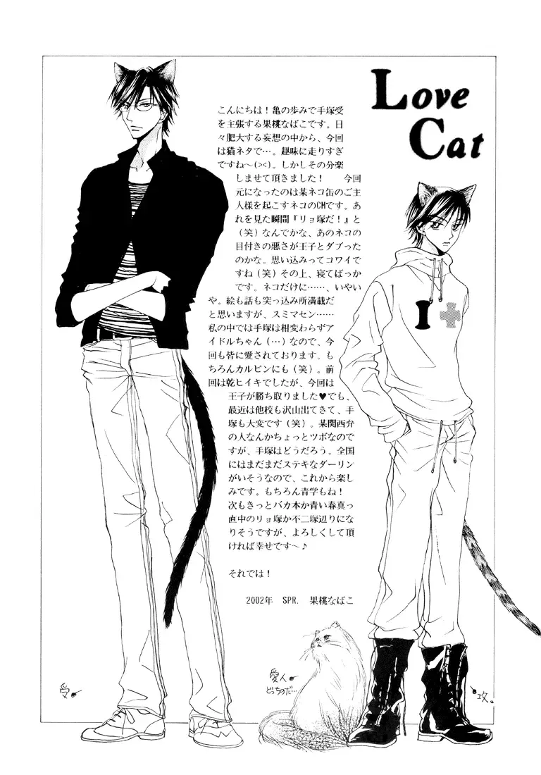 [Kamo Nabako] Love Cat Fhentai - Page 4