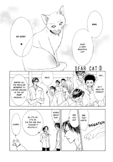 [Kamo Nabako] Love Cat Fhentai - Page 19