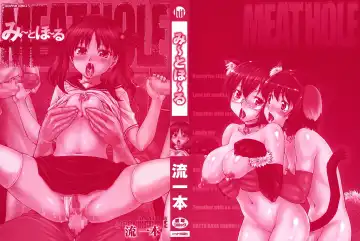 [Nagare Ippon] Meat Hole Fhentai - Page 3