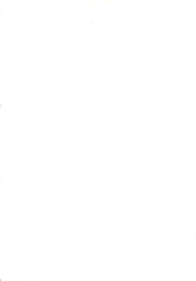 [Ten] Yamato Nadeshiko Fhentai - Page 2