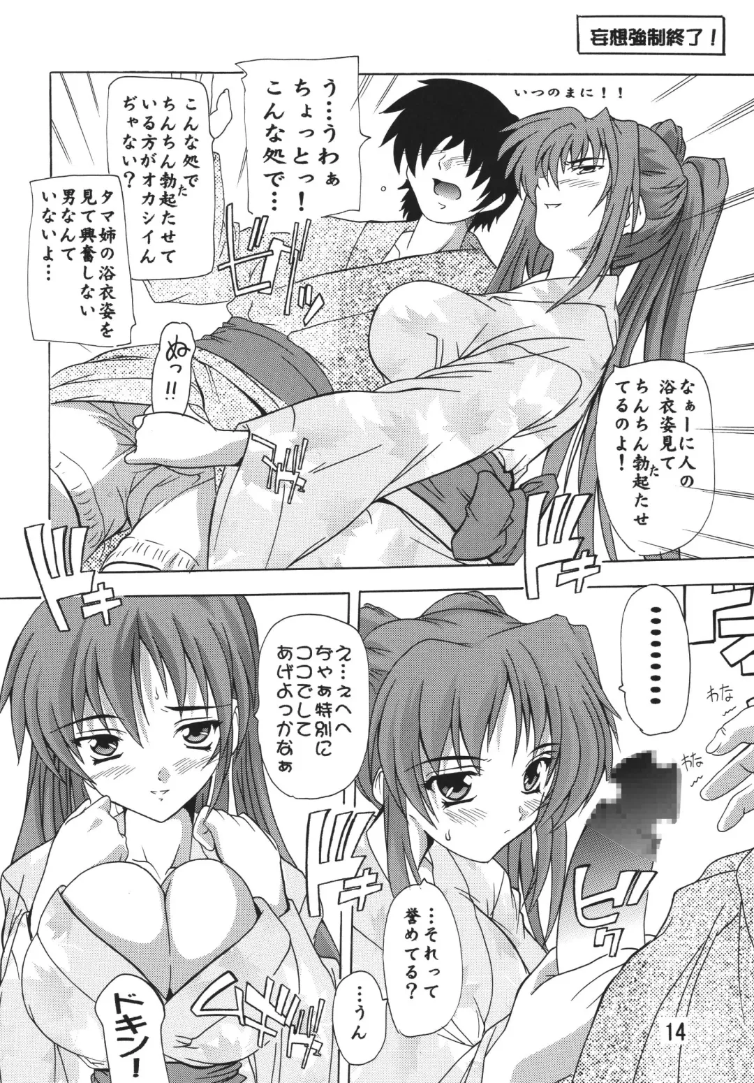 [Natsuka Q-ya] Tama-nee Soushuuhen!! Fhentai - Page 14