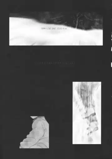 [Alpine] The Sentinel Fhentai - Page 2