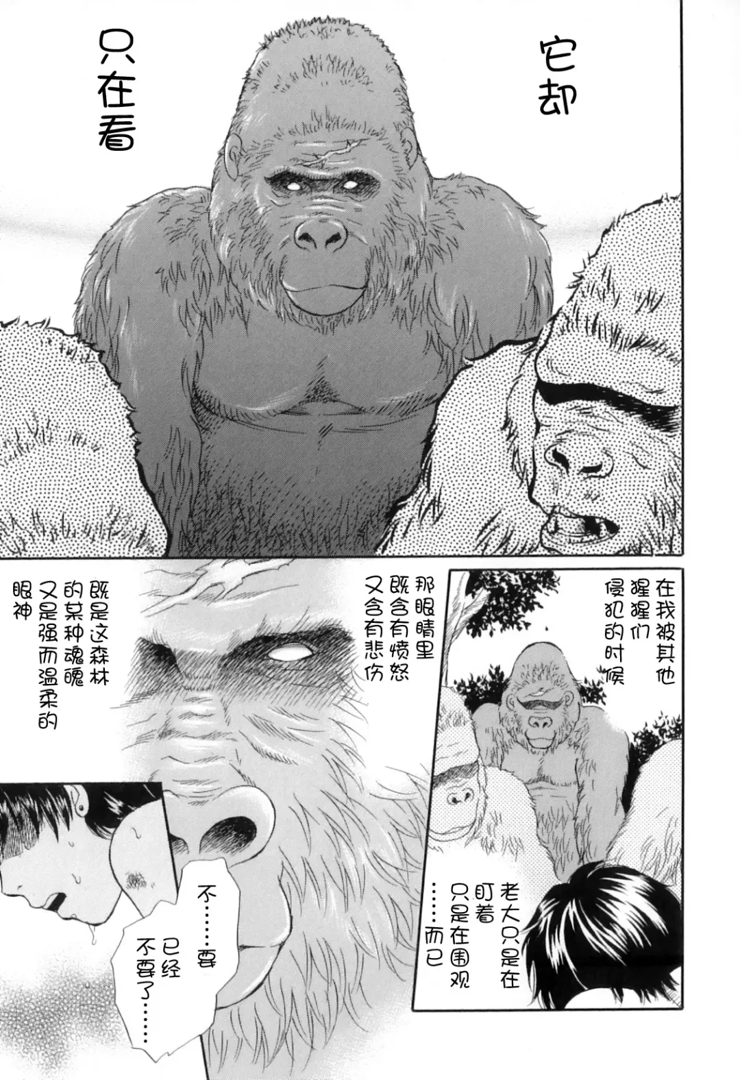[Tsukimori Masato] Gin no Se ~Silverback~ Fhentai - Page 15