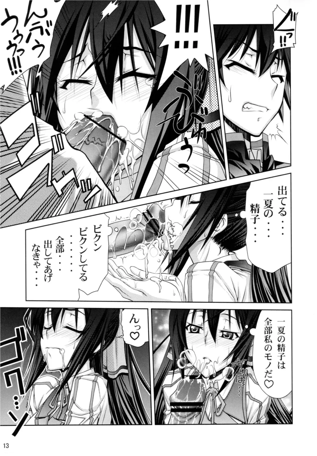 [Suzuki Address] IS Fhentai - Page 13