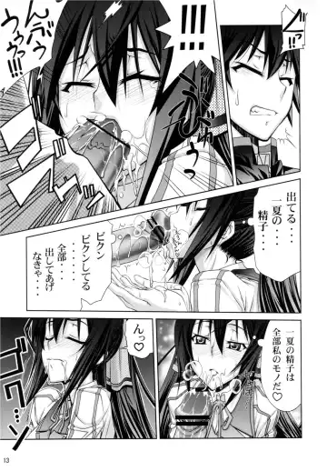 [Suzuki Address] IS Fhentai - Page 13