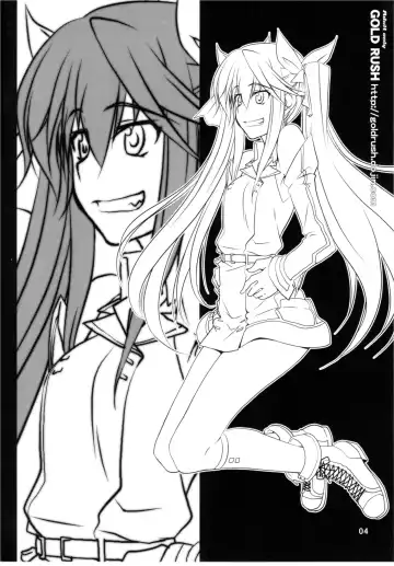 [Suzuki Address] IS Fhentai - Page 4