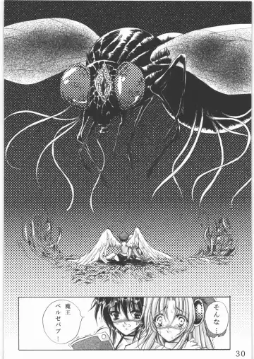 [Tamiya Akito] Sacred Order Seraphim Force Fhentai - Page 29