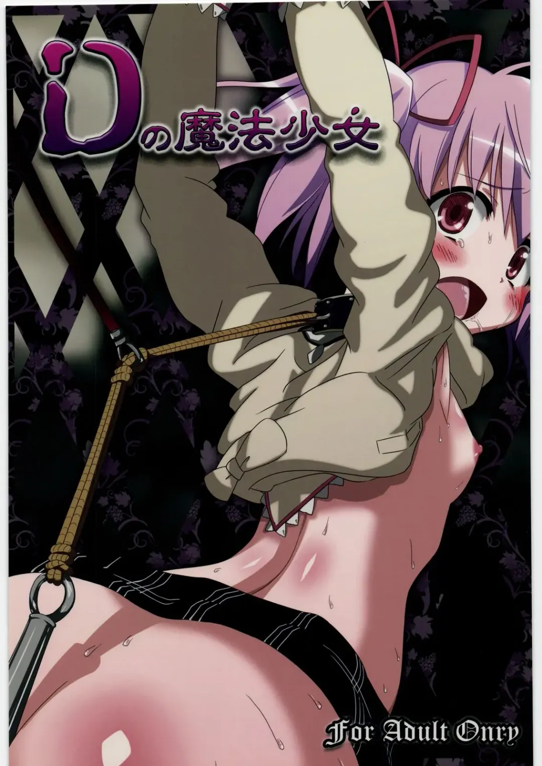 [Akai Mato] D no Mahou Shoujo Fhentai - Page 1