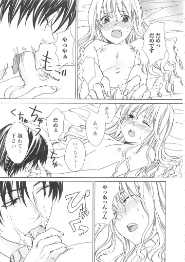 Josou no Oujisama 2 Fhentai - Page 24