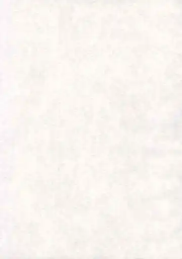 [Seijirou Kagechika] Yoruichi Nyan no Hon 2 Fhentai - Page 27