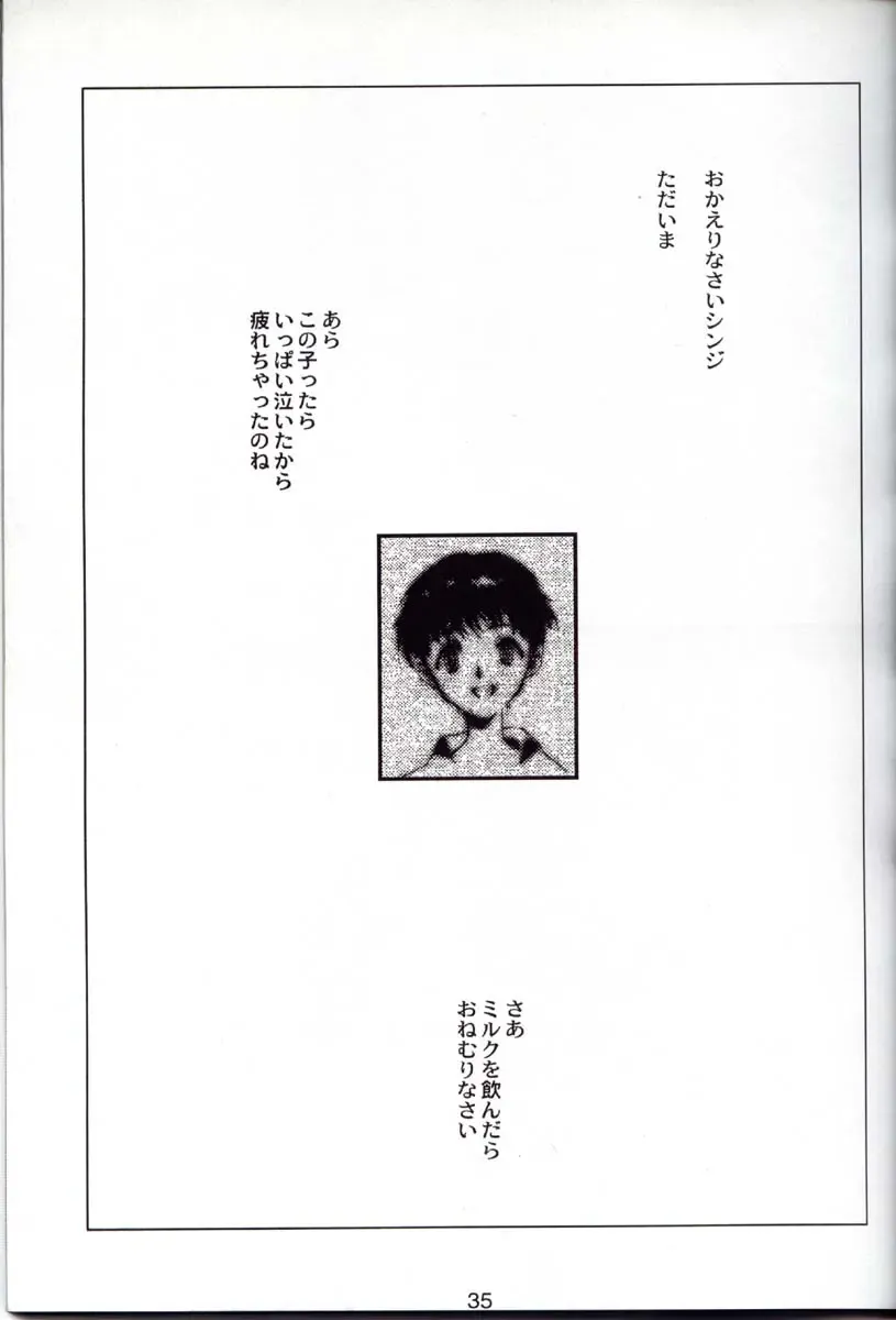 [Choco - Zawa] Houtai Shoujo THE THIRD Fhentai - Page 34