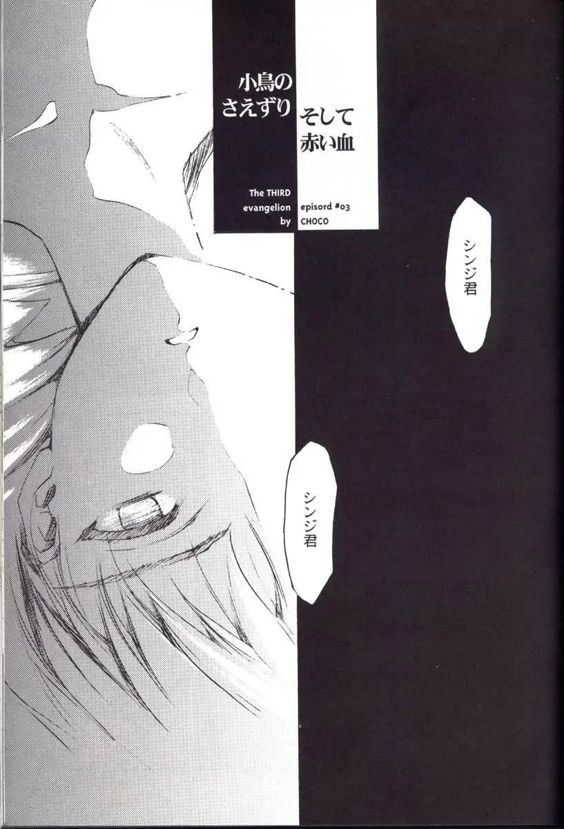 [Choco - Zawa] Houtai Shoujo THE THIRD Fhentai - Page 42