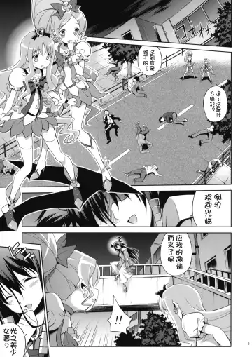 [Inase Shinya] Melt Flower (Heart Catch Precure) [Chinese] 【btboy12个人汉化】 Fhentai - Page 2