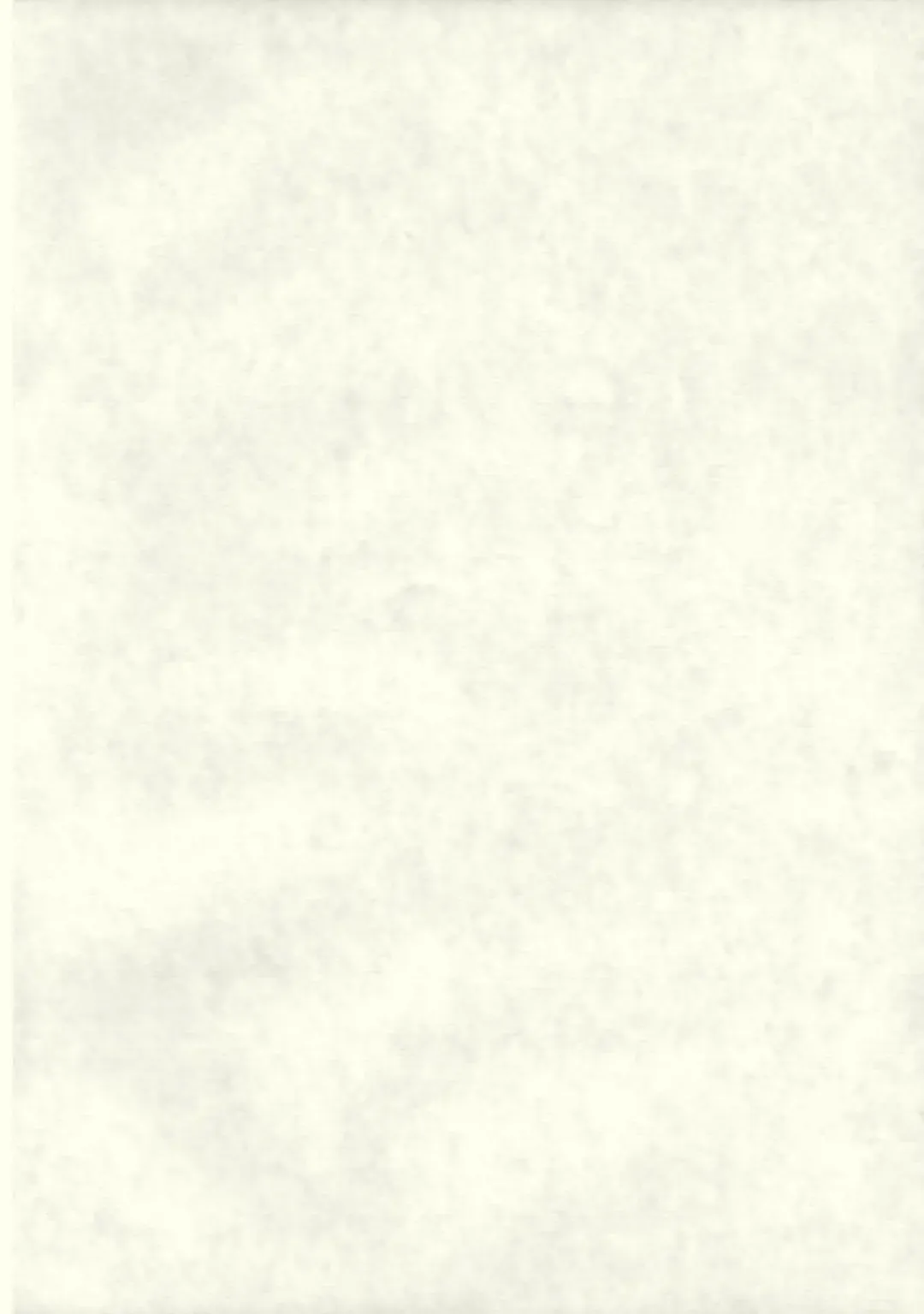 [Yanagie] Black Religion Fhentai - Page 3