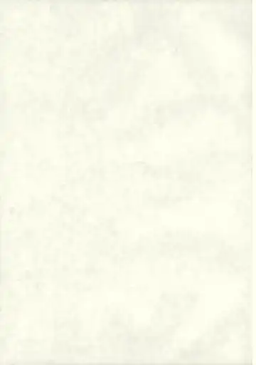 [Yanagie] Black Religion Fhentai - Page 2