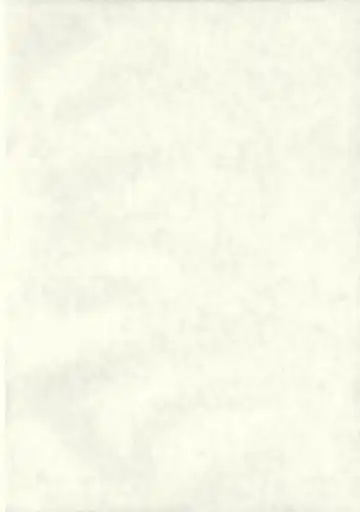 [Yanagie] Black Religion Fhentai - Page 3