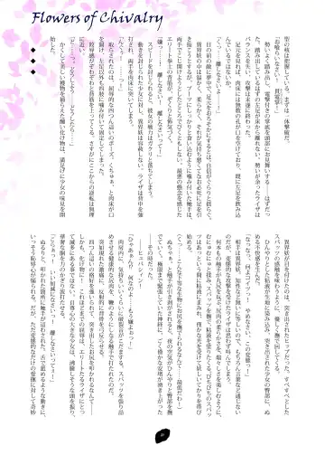 [Hisui] Flowers of Chivalry Fhentai - Page 20