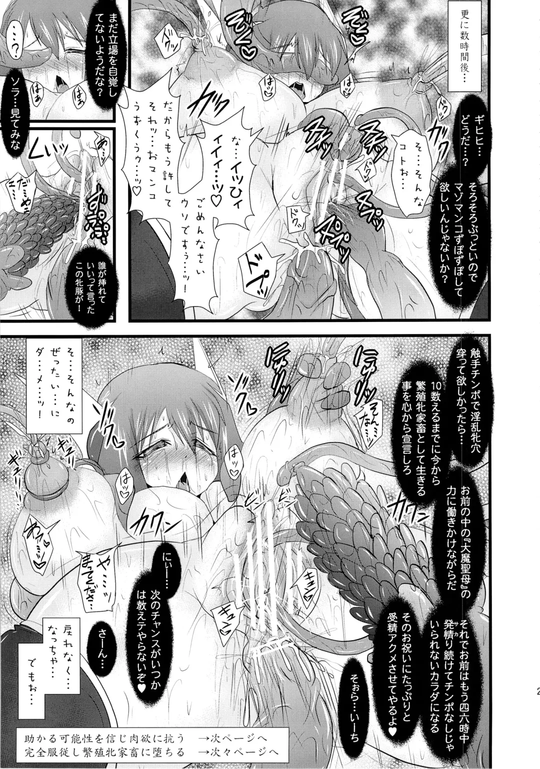 [Ryutou] Shield Knight Elsain Vol. 12 NETHER LABORATORY 2 Fhentai - Page 26